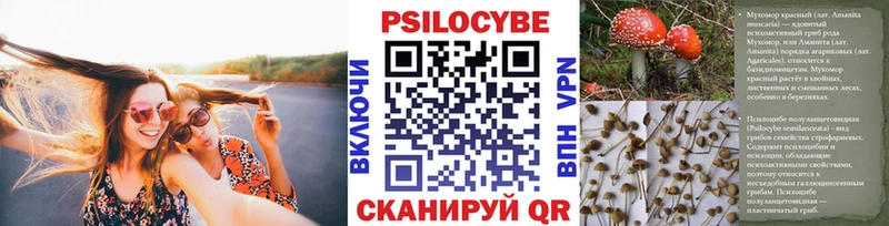 Галлюциногенные грибы прущие грибы  закладка  Тула 